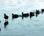 What Makes A Leader