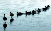 What Makes A Leader