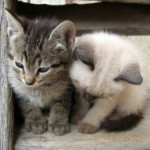 Deepening Relationships